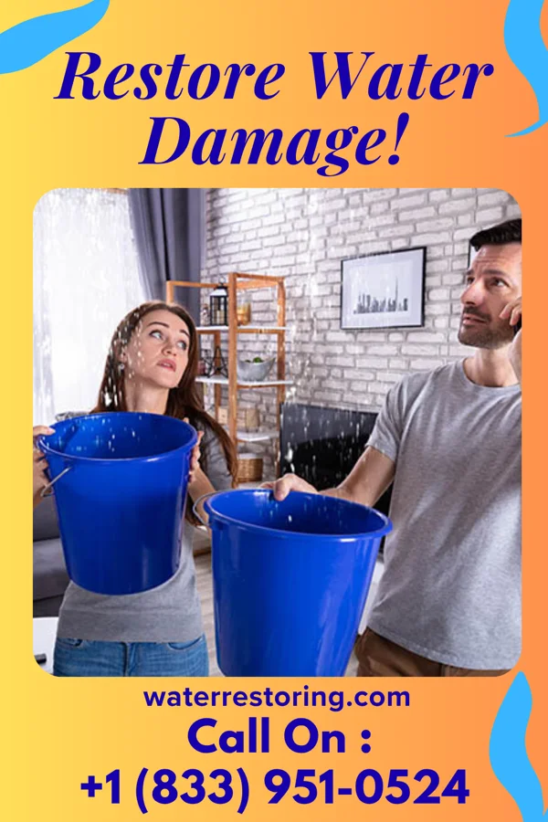 water restoration Prime Water Mitigation Solutions Waynesboro