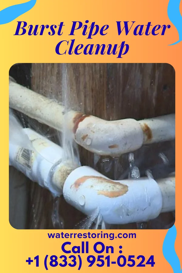 Burst Pipe Water Cleanup in Waynesboro, PA