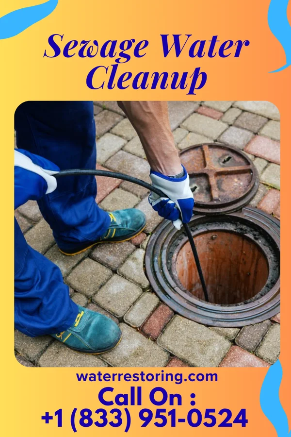 Sewage Water Cleanup in Waynesboro, PA